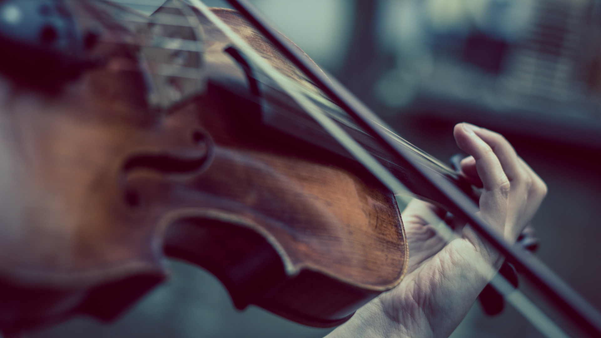 Violinista che suona violino, 1920x1080 1080p, Desktop