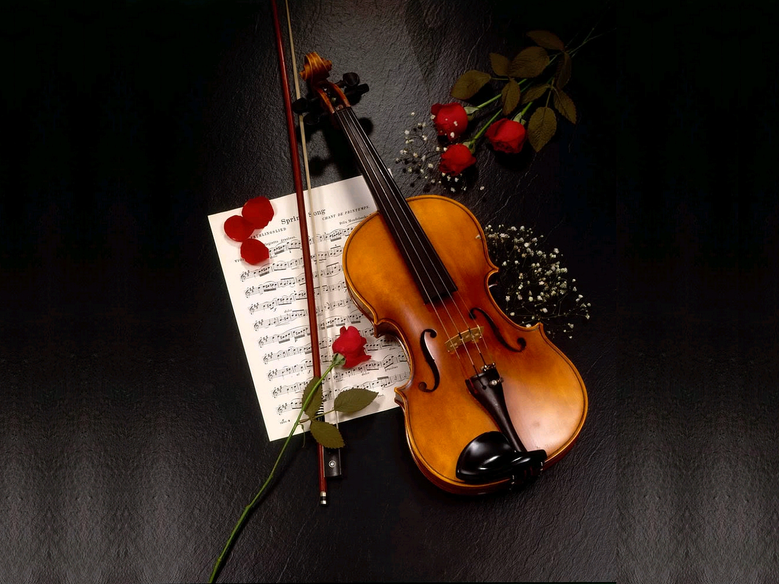 Violino con rose rosse spartito, 1600x1200 HD Ready, PC
