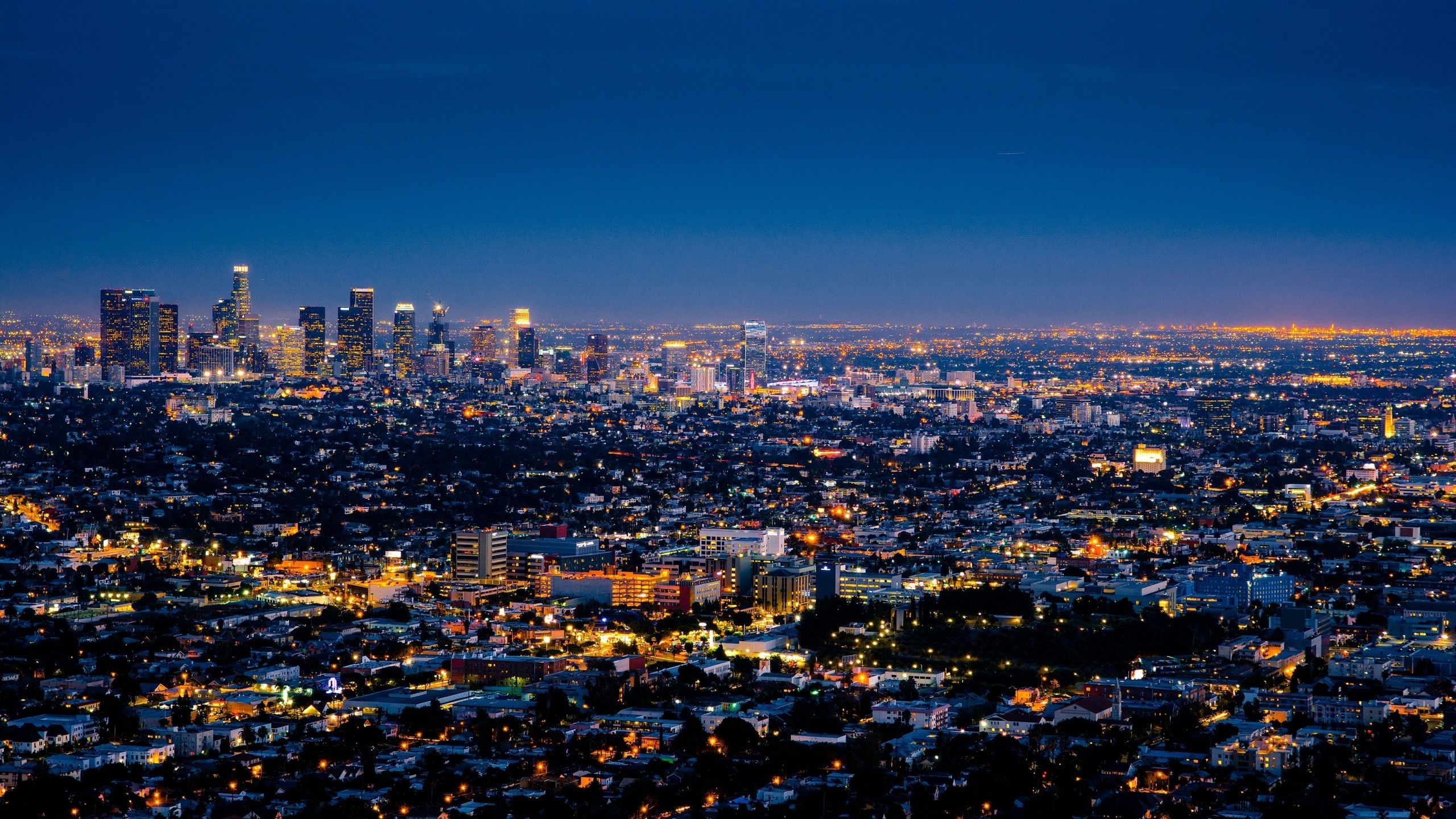 Skyline Los Angeles di notte, 2560x1440 2K, Desktop
