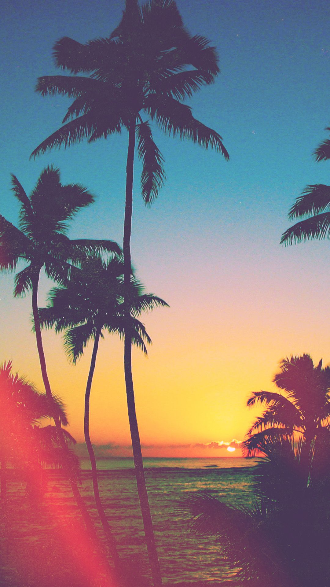 Palme al tramonto spiaggia, 1080x1920 Verticale, Mobile
