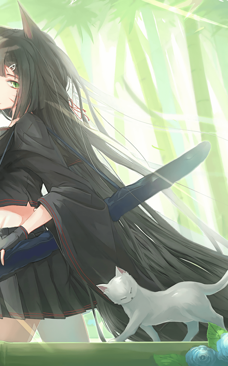 Ragazza anime con maschera volpe, 1280x800 HD, ROG Asus Laptop