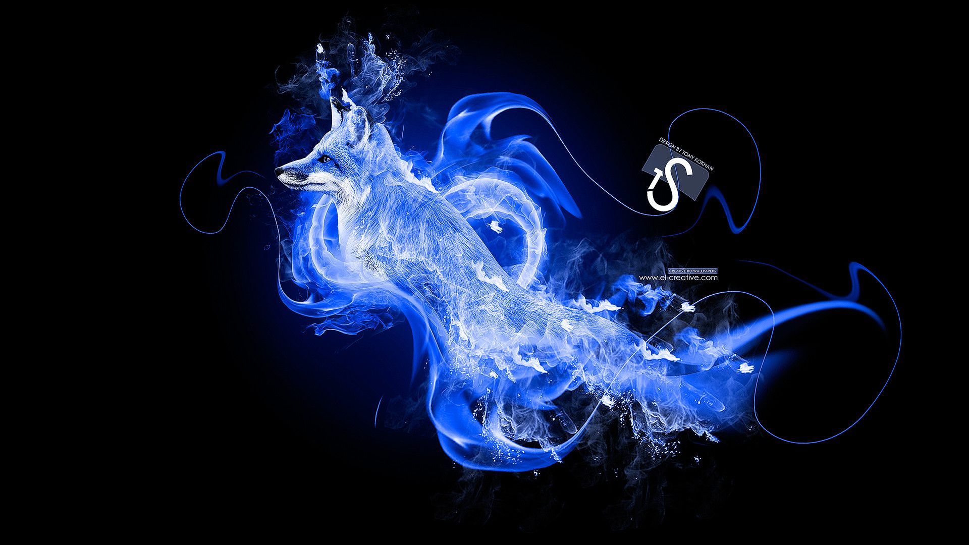 Volpe di fuoco blu-verde, 1440x1280 HD, Desktop