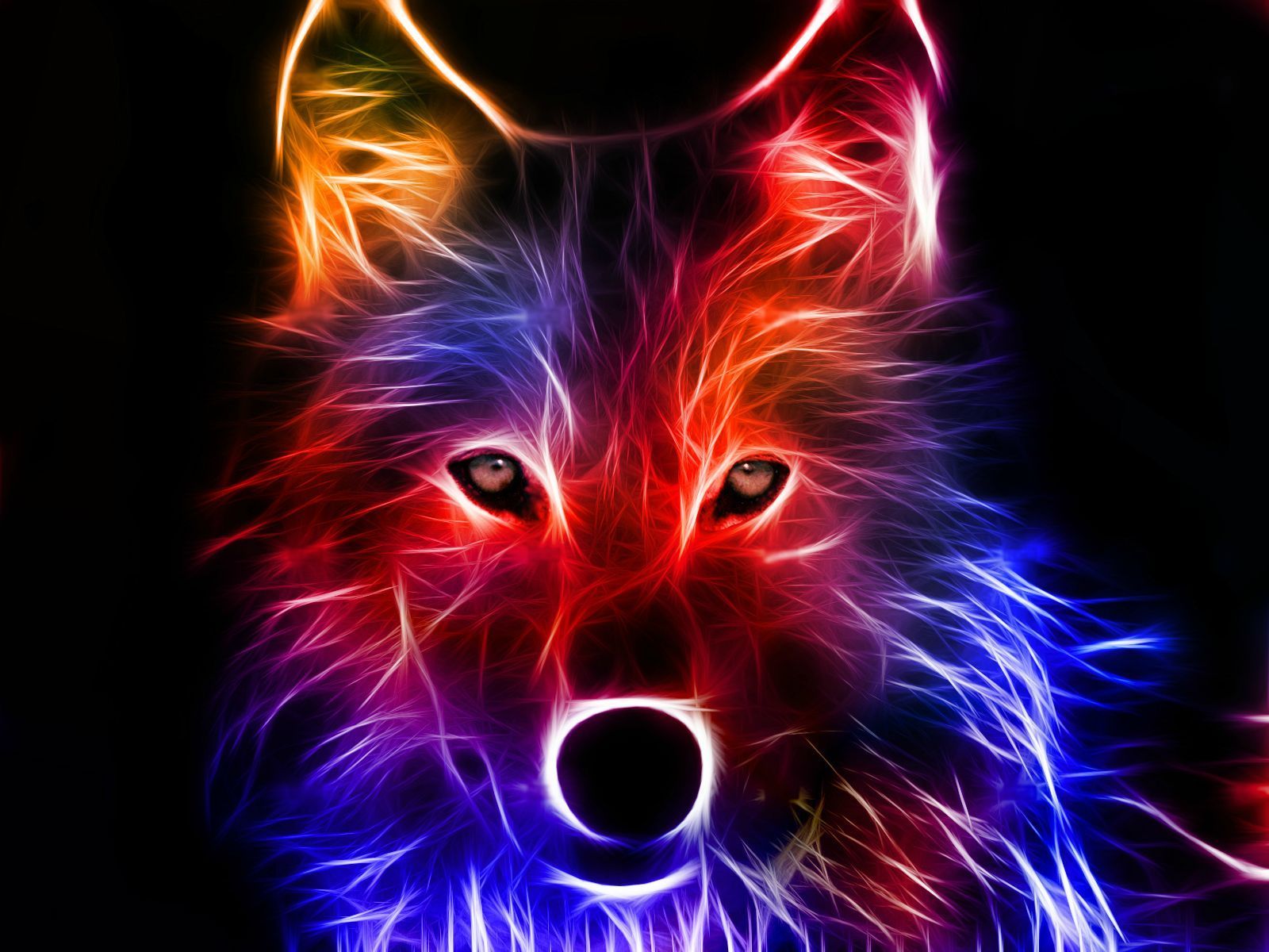 Volpe fractal neon colorata, 1600x1200 HD Ready, Desktop