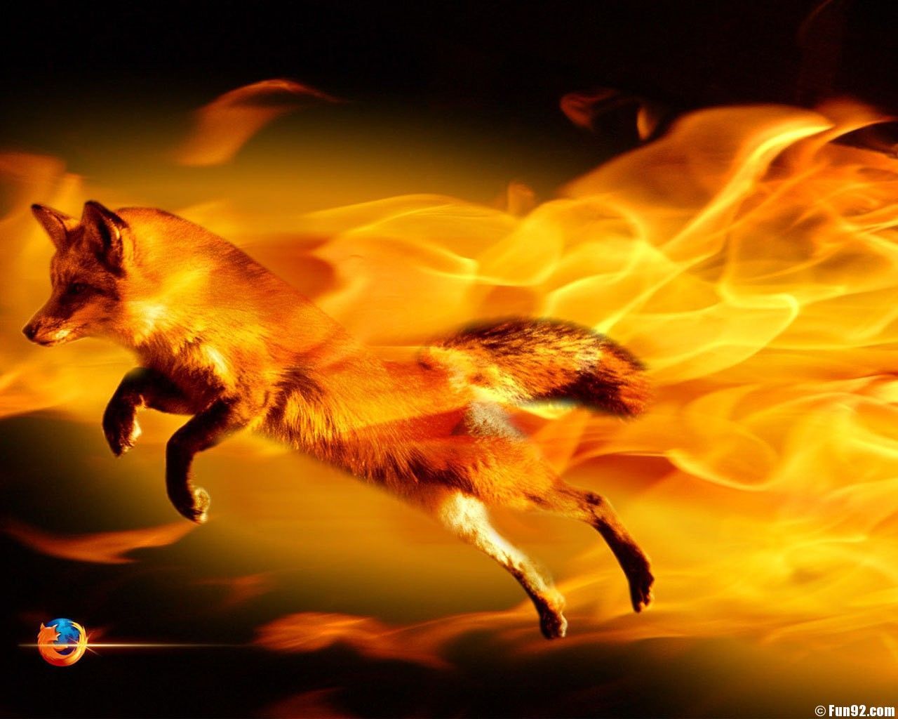Volpe tra le fiamme, 1280x1024 720p, PC