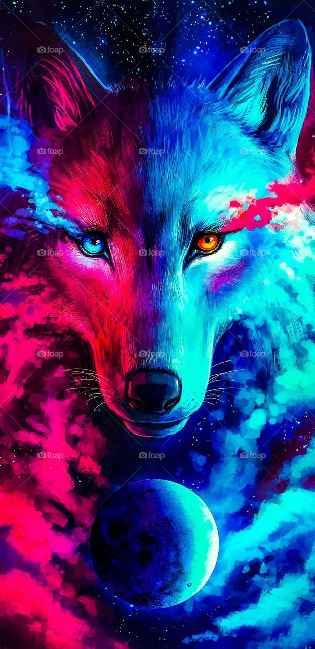 Due volpi che giocano, 1920x1080 Full HD, Laptop