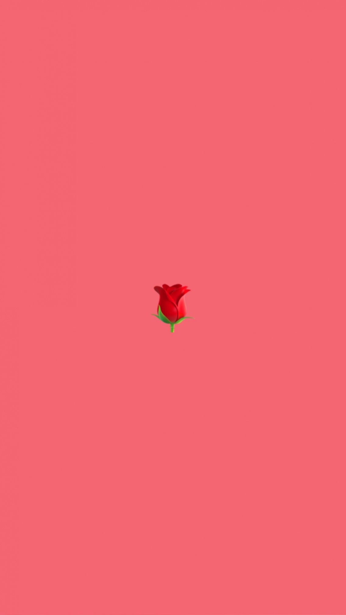 rosa rossa minimale sfondo corallo, 1136x2017 Verticale, Telefono