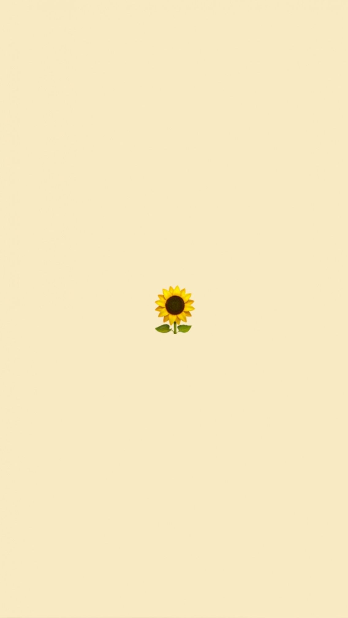 girasole minimale sfondo crema, 1136x2017 Verticale, Xiaomi