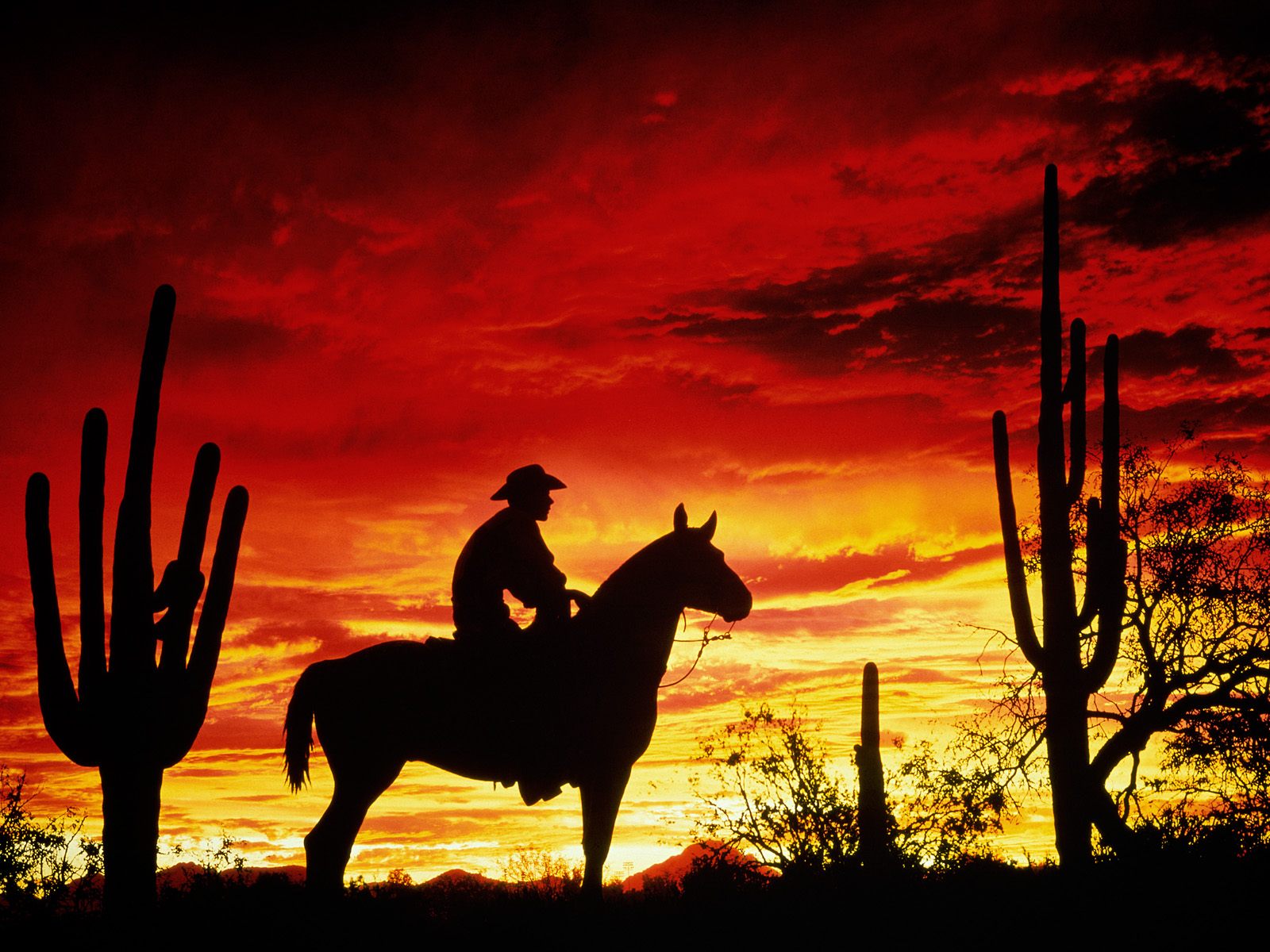 Cowboy a cavallo tramonto, 1600x1200 HD, Lenovo Legion