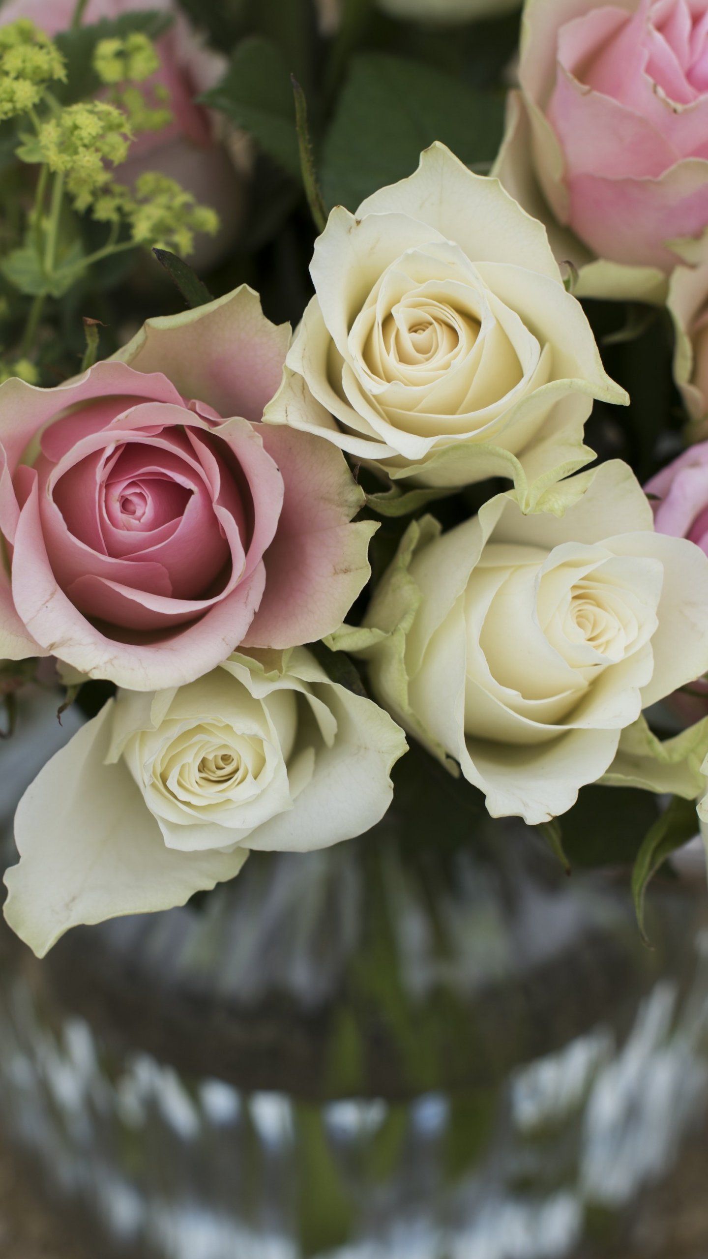 Rose bianche e rosa in vaso, 1440x2560 Full HD Verticale, iPhone
