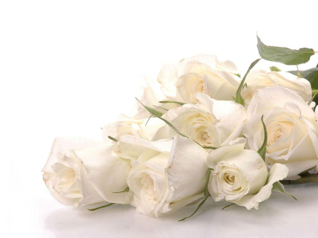 Mazzo di rose bianche, 1024x768 HD, PC