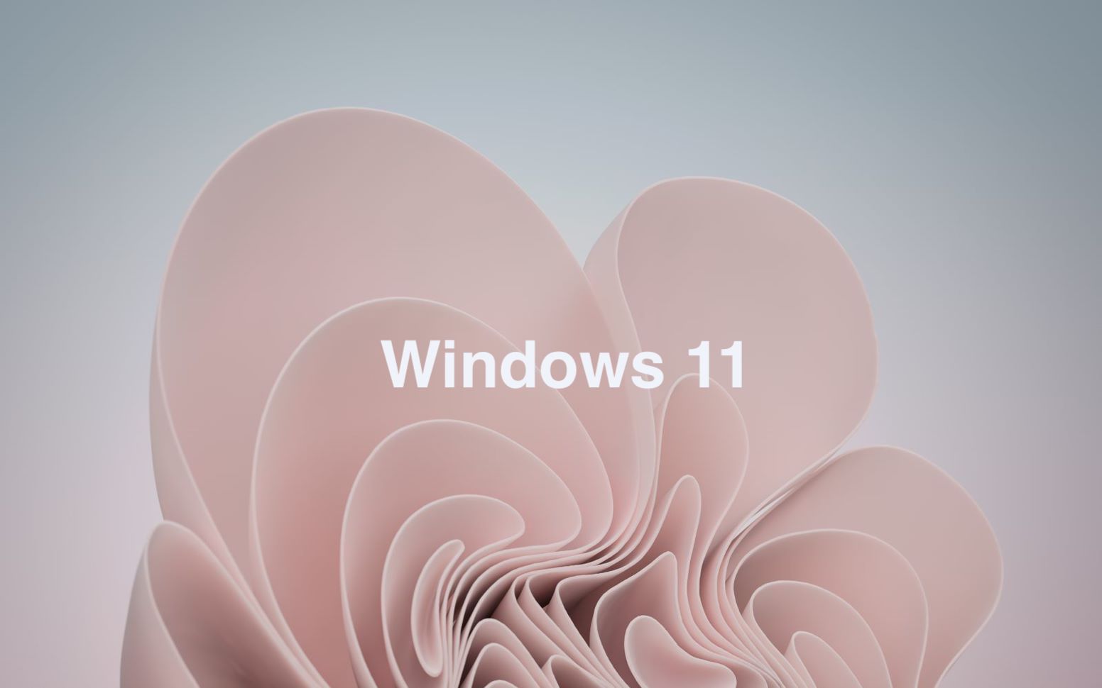 Fiore astratto rosa Windows 11, 1552x970 720p, PC