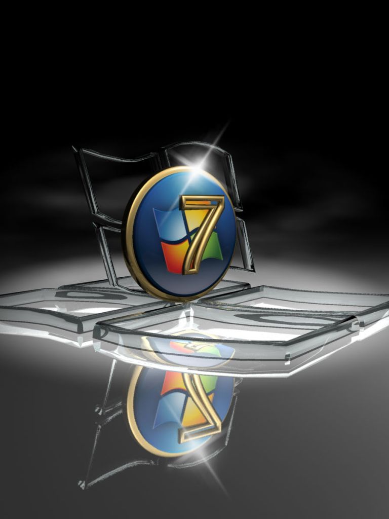 Logo Windows XP Professional, 1024x768 HD, PC