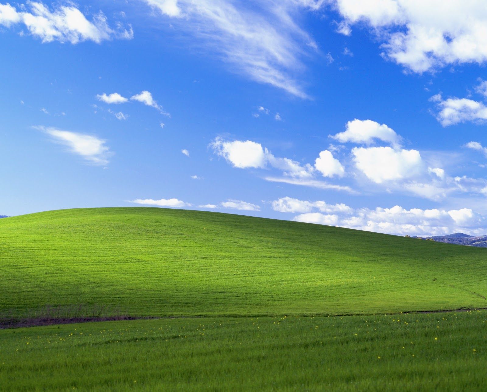 Collina verde Windows XP Bliss, sistema operativo Microsoft, 1600x1287 HD Ready, Monitor Gaming
