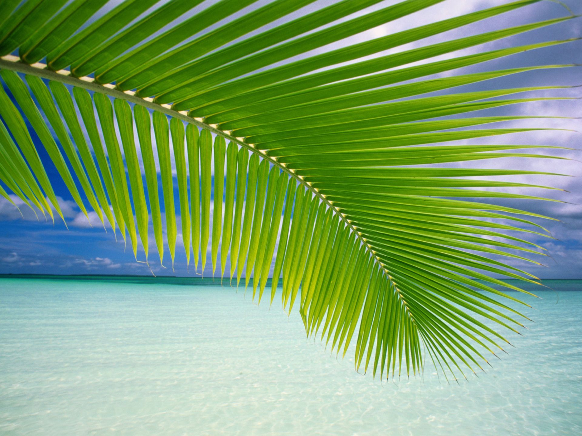 Onde astratte verdi e blu, 1920x1200 Full HD+, Monitor Gaming