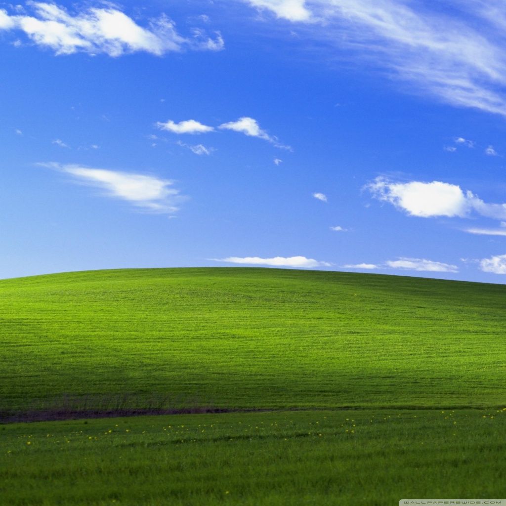 Collina verde Windows XP Bliss, 1024x1024 HD, PC