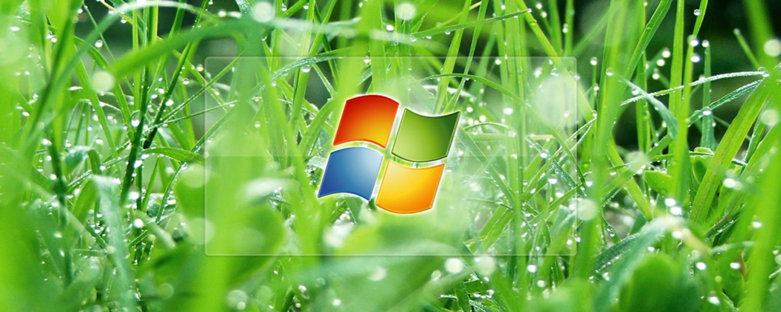 Logo Windows Vista sfondo nero, 1920x1200 WUXGA, Desktop