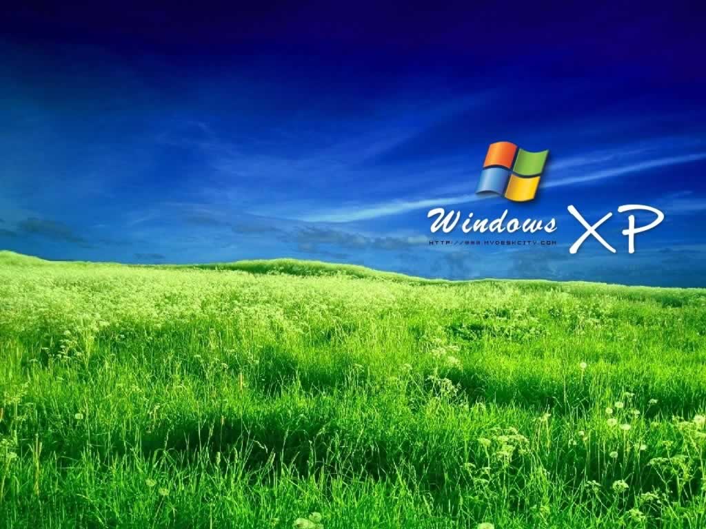 Logo Windows XP prato verde, 1024x768 HD, Monitor Gaming