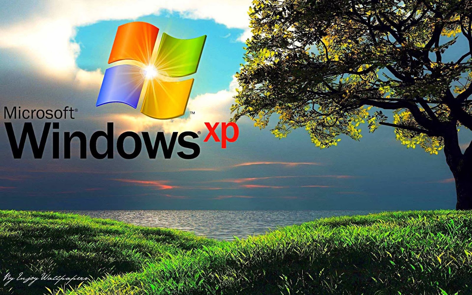 Logo Windows XP collina verde, 1600x1000 HD, PC