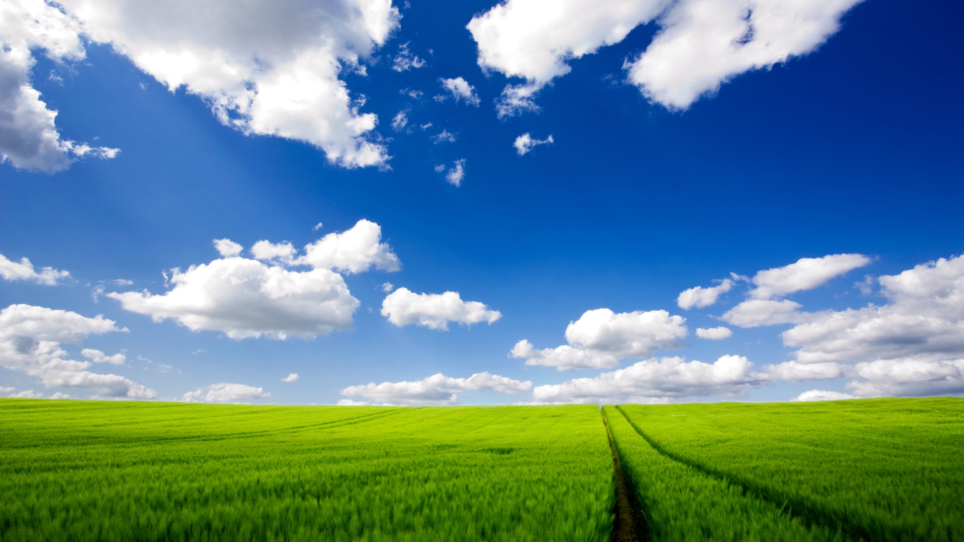 Prato verde con cielo nuvoloso, 1920x1080 Full HD 1080p, PC Desktop