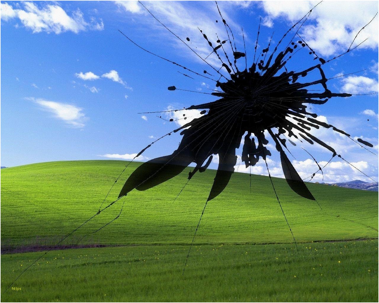 Schermo Windows XP rotto, 1280x1024 720p, Monitor Gaming
