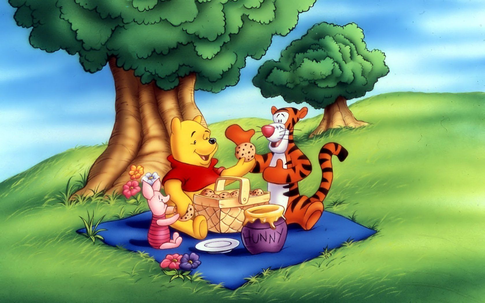Winnie the Pooh e amici picnic, 1680x1050 HD, Desktop