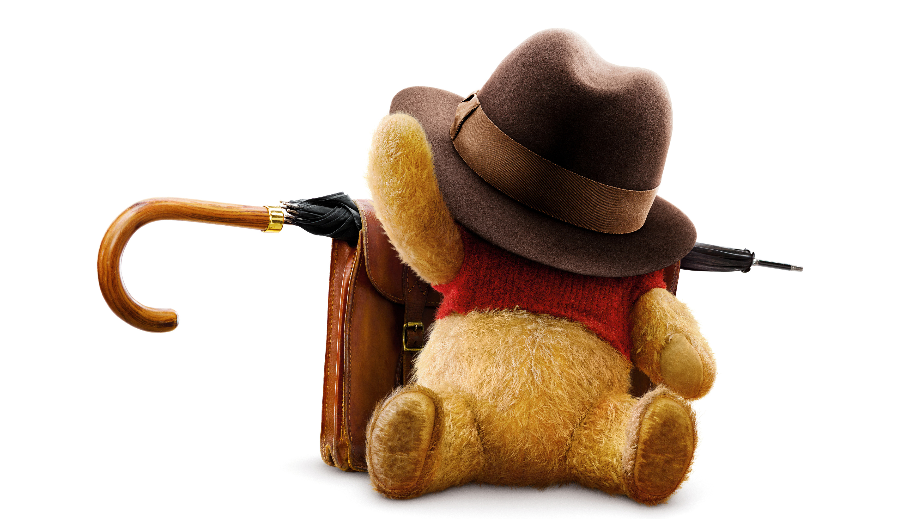 Winnie the Pooh con cappello, 3840x2160 4K Ultra HD, Monitor 4K