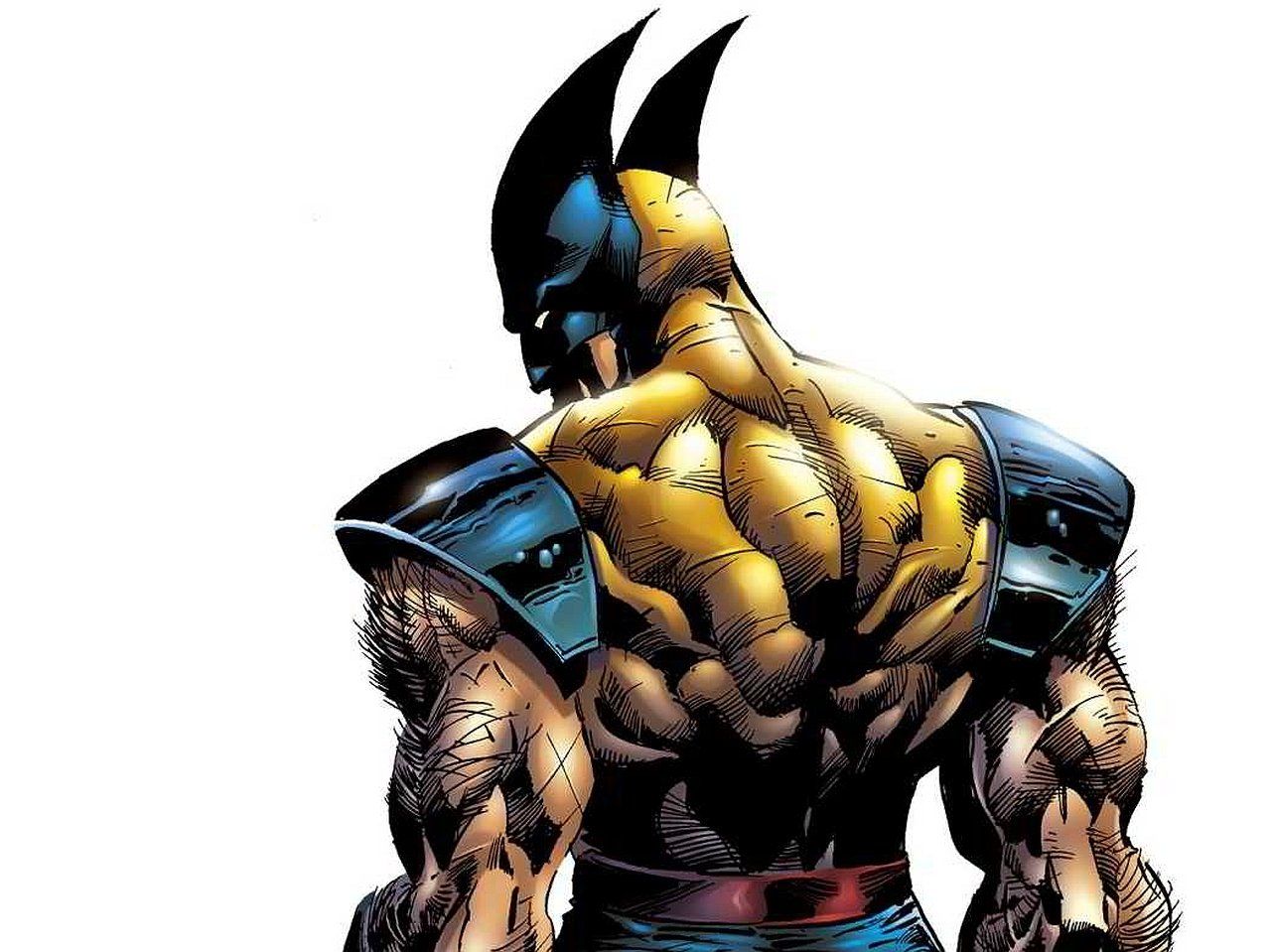 Wolverine schiena costume giallo, 1280x959 HD, Desktop