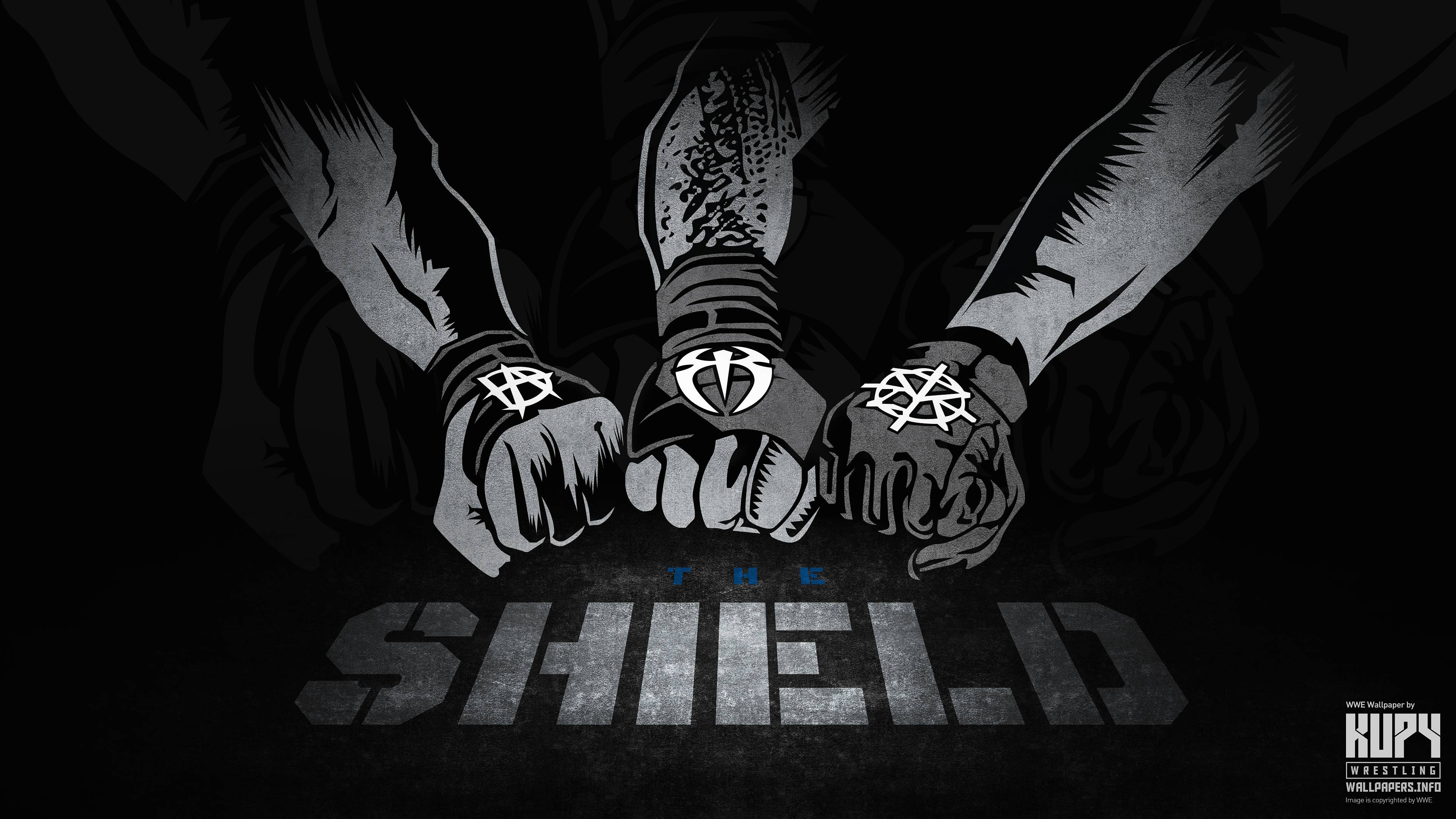 The Shield WWE pugni, 3840x2160 4K, Desktop 4K