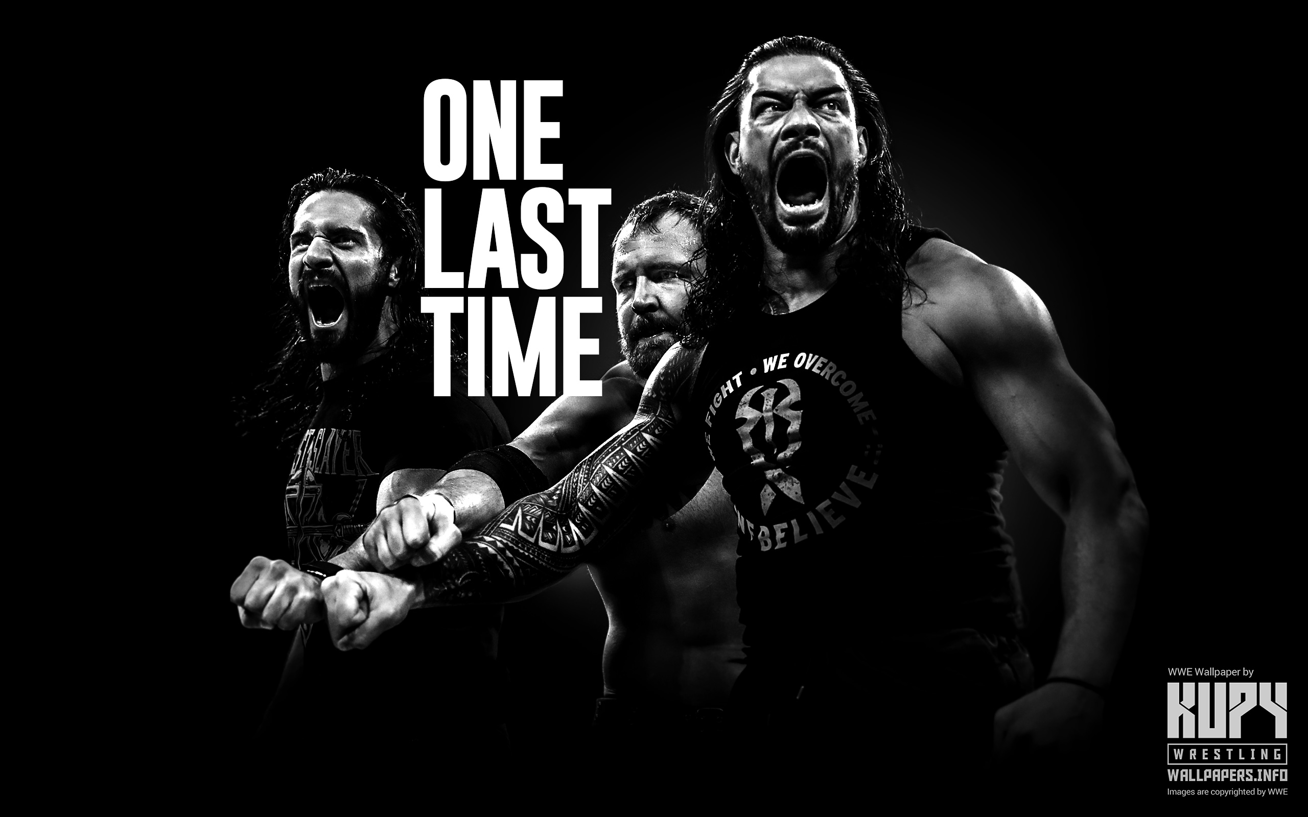 Lottatori WWE Shield bianco nero, 2560x1600 WQXGA, Desktop