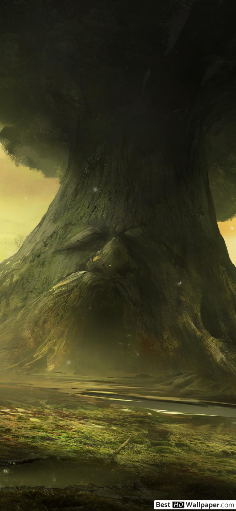 Grande albero Deku, Zelda, One For All, 828x1792 Full HD Verticale, Smartphone