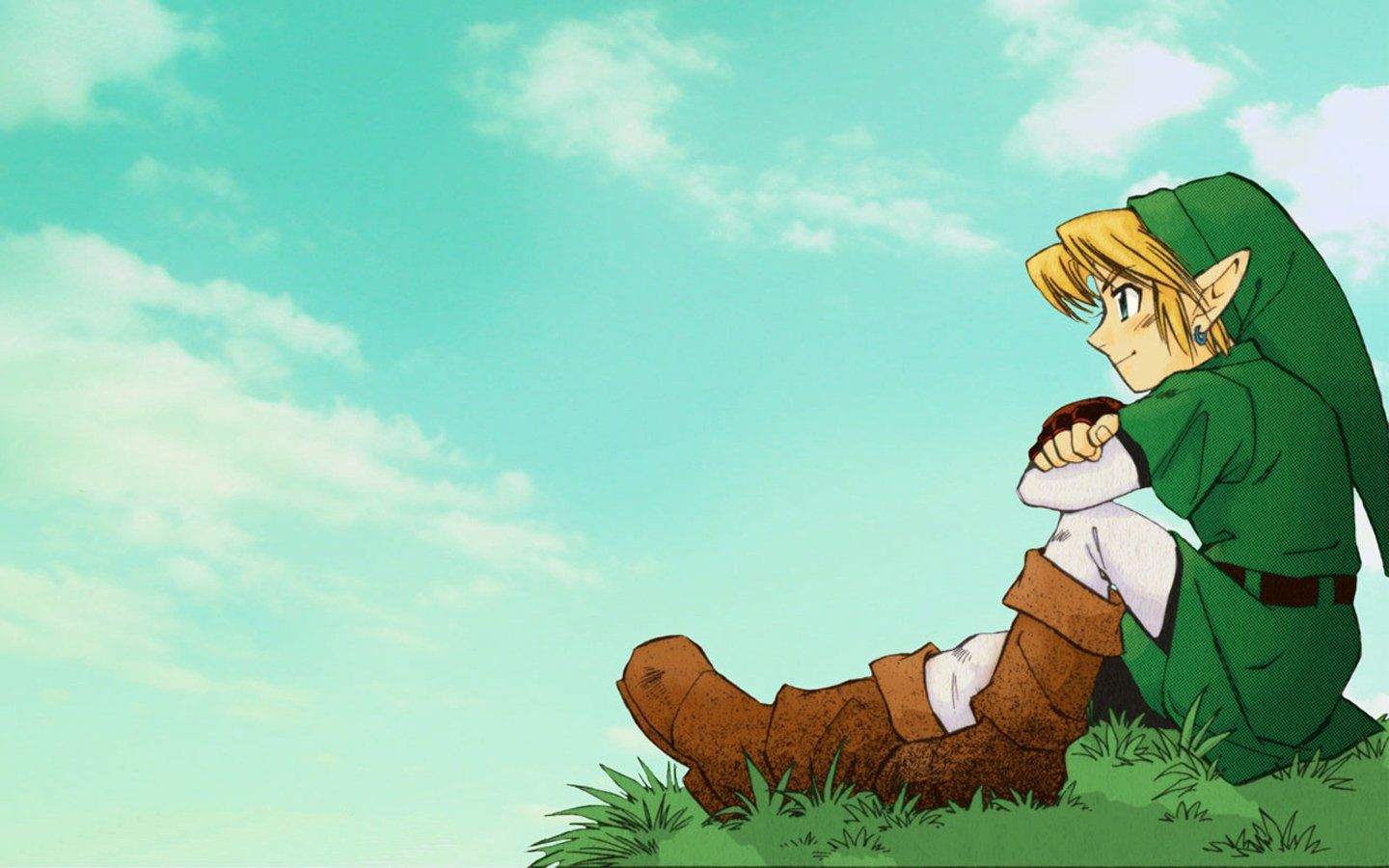 Link seduto su collina, 1440x900 HD, MacBook Air