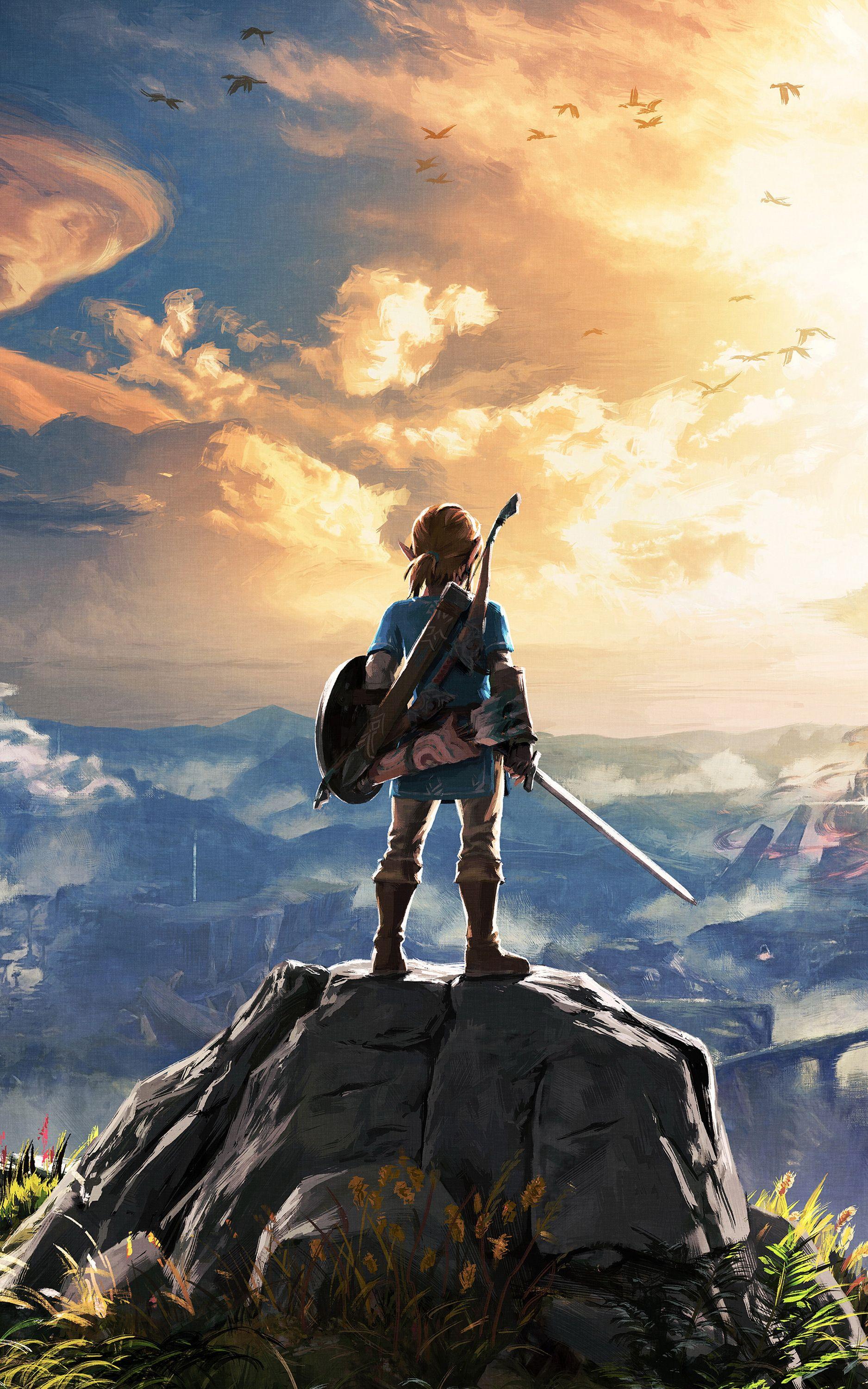 Link su roccia, Zelda, 1875x3000 Verticale, Mobile
