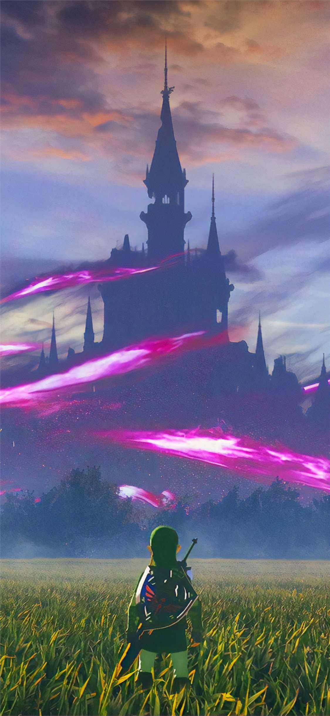 Link castello Hyrule Zelda, 1125x2436 Verticale, Mobile
