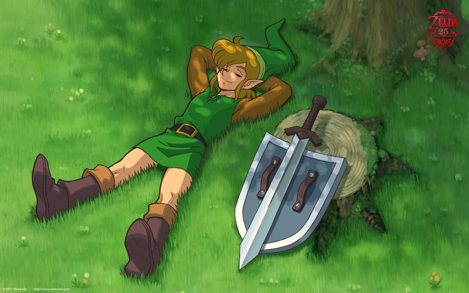 Link disteso nell'erba, 1600x1000 900p, Desktop