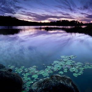 Lago tranquillo al crepuscolo viola, 300x300 HD, PC Desktop
