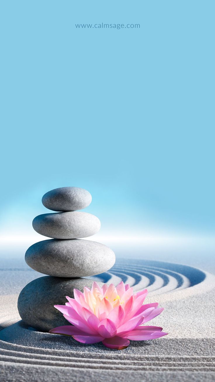 Pietre zen e fiore di loto, 736x1308 Full HD Verticale, Smartphone