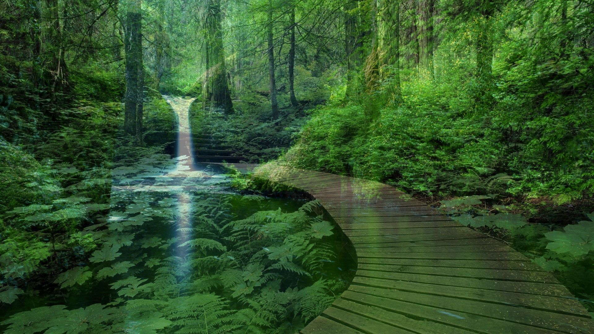 Foresta verde con cascata e passerella, 1920x1080 Full HD, PC