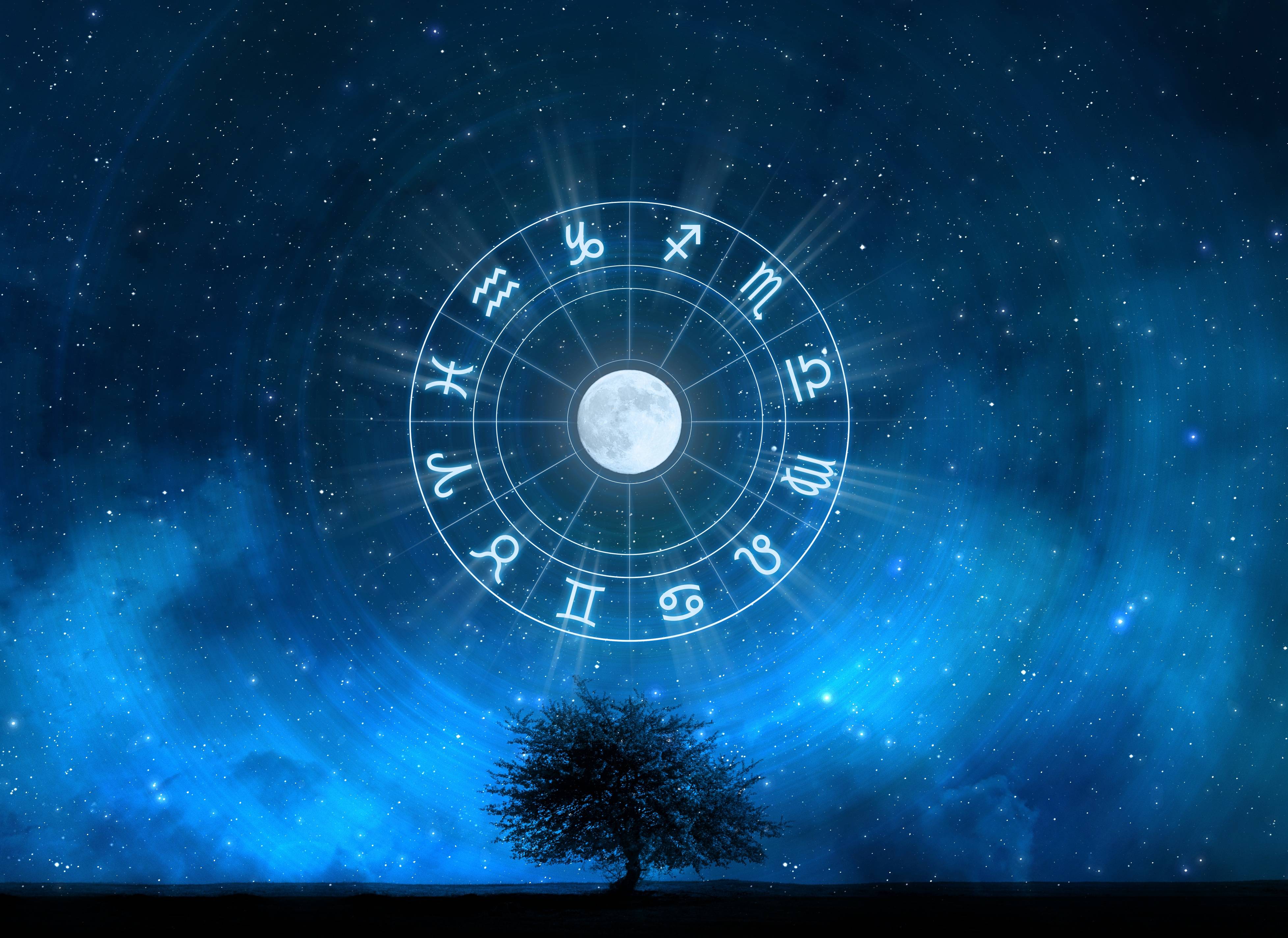 Cerchio zodiacale luna albero notturno, 3912x2848 4K, Desktop 4K