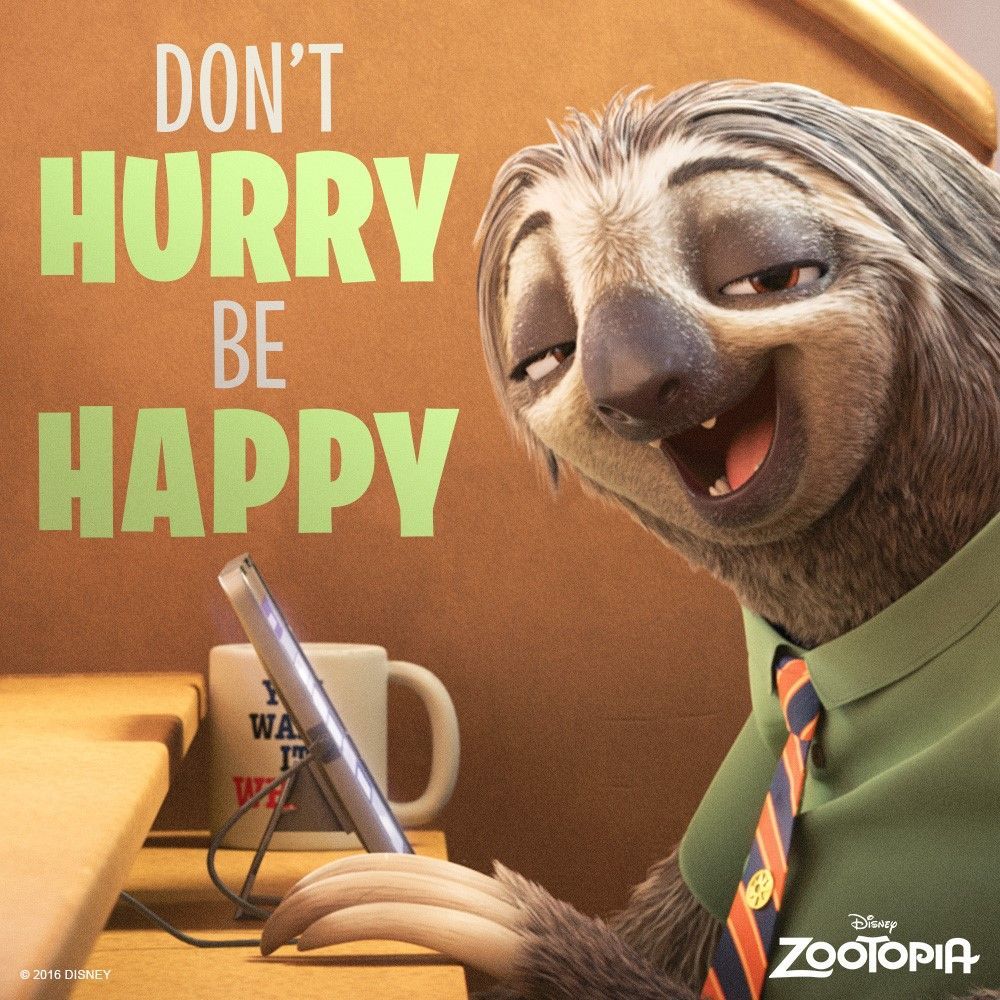 Bradipo Flash Zootopia citazione, The Flash, 1000x1000 HD, Desktop