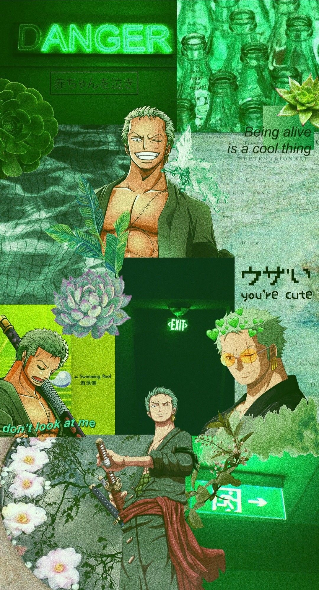 Zoro One Piece estetico verde, 1080x1996 Verticale, Telefono