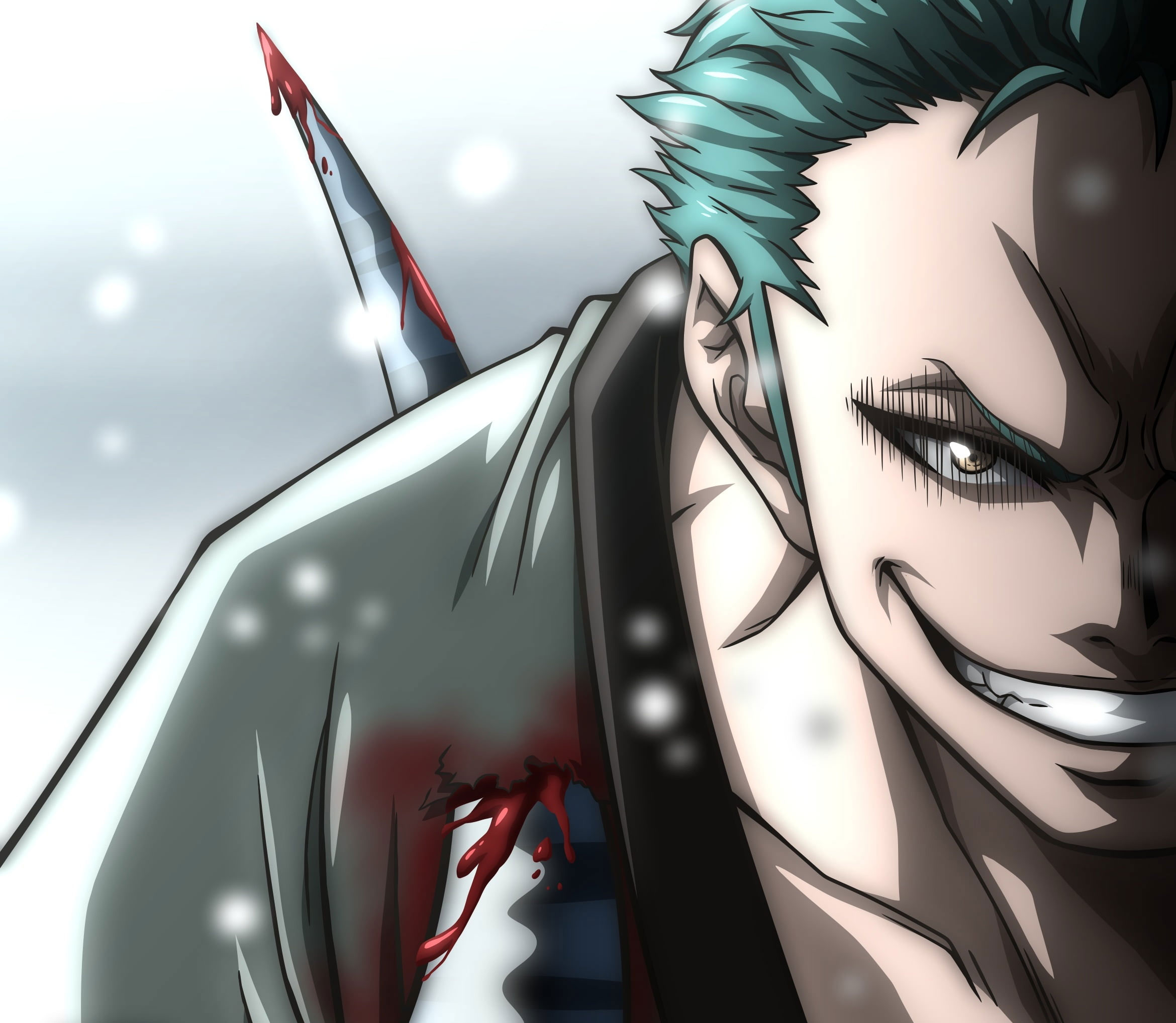 Roronoa Zoro One Piece, 2340x2036 alta risoluzione, Desktop