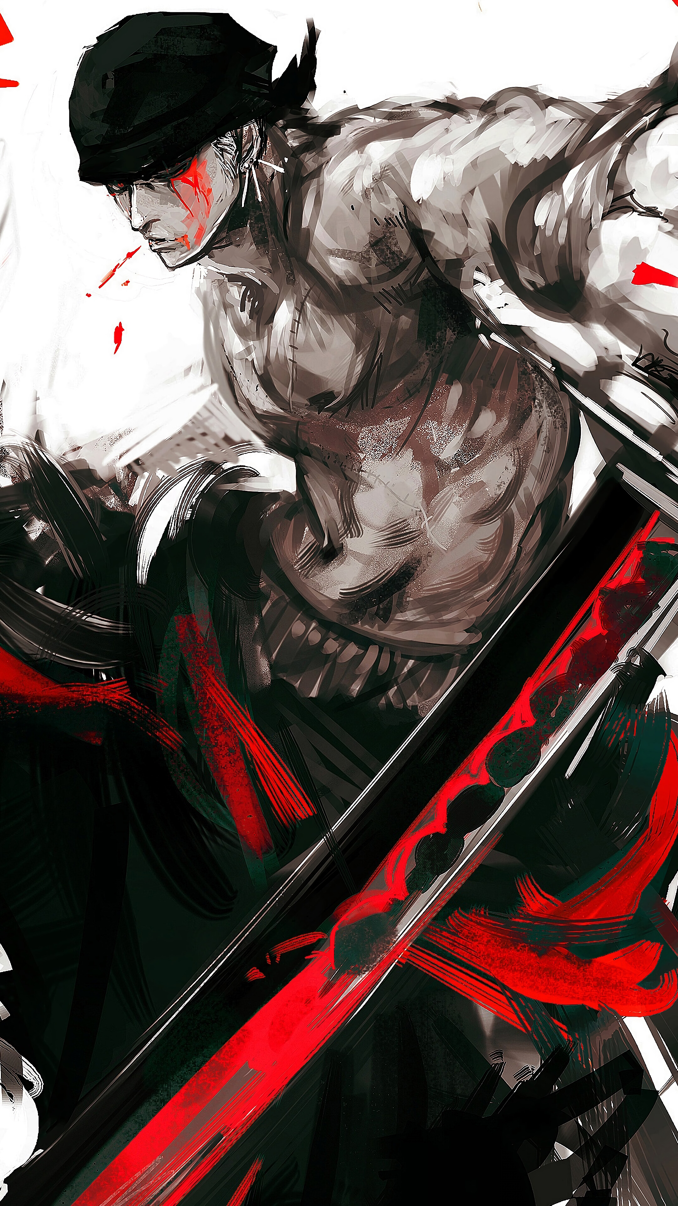 Zoro con katana, One Piece, 2160x3840 Full HD Verticale, iPhone