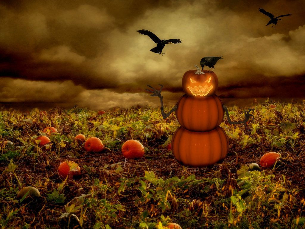 Spaventapasseri di zucche nel campo, 1024x768 HD, PC