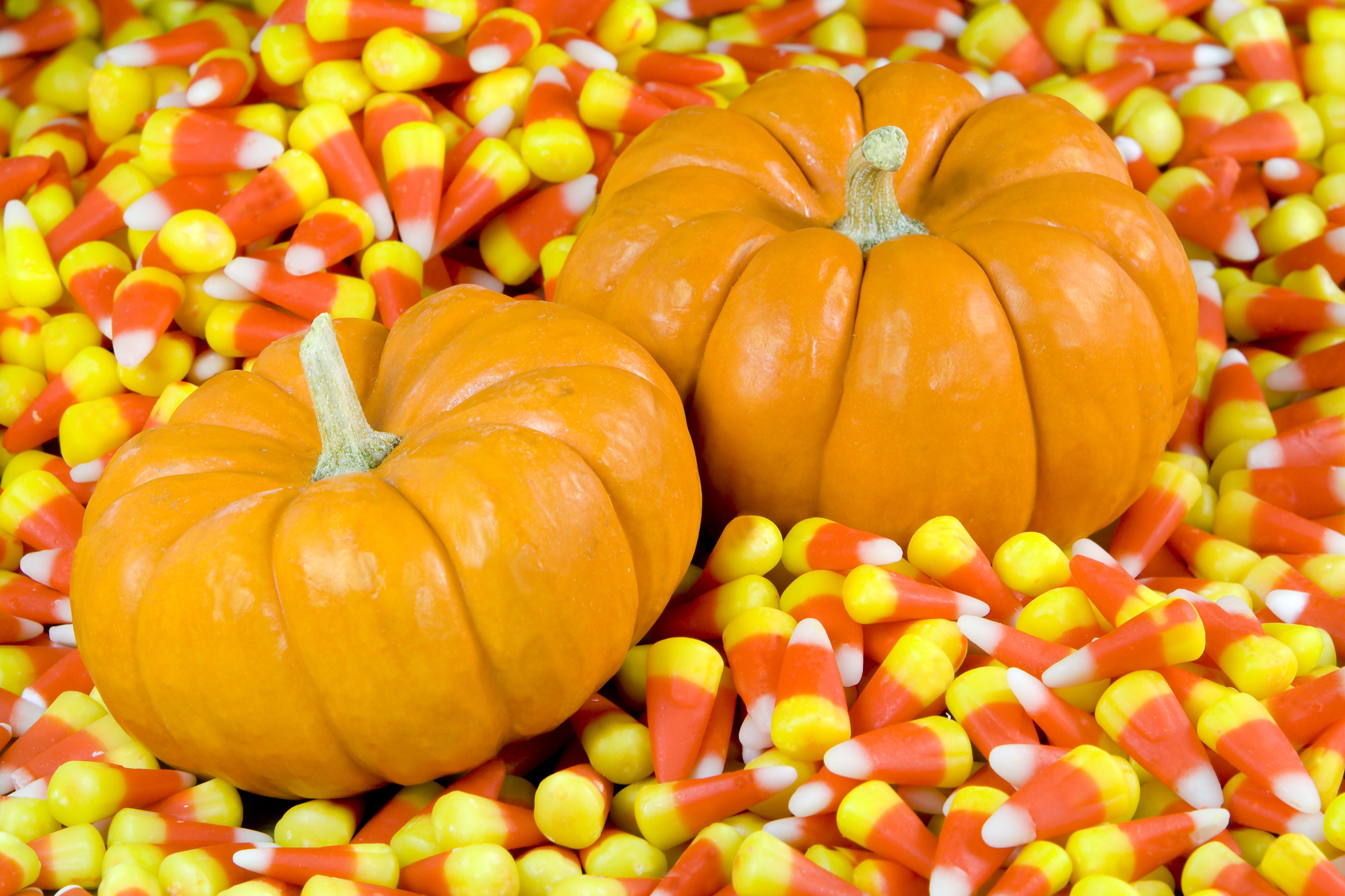 Zucche e caramelle candy corn, 3888x2592 4K Ultra HD, Smart TV 4K