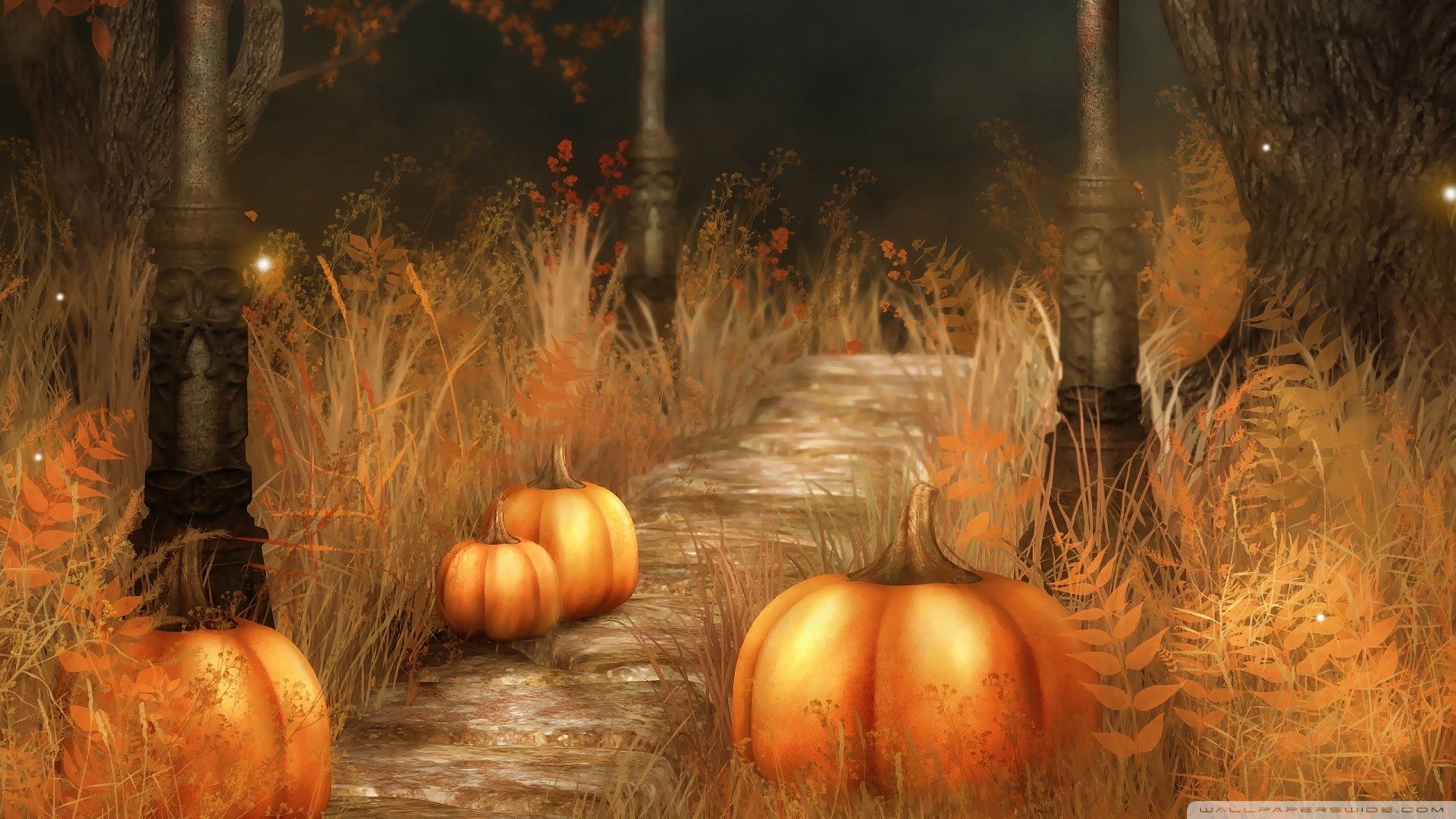 Zucche sentiero autunnale foresta, 1920x1080 1080p, Desktop