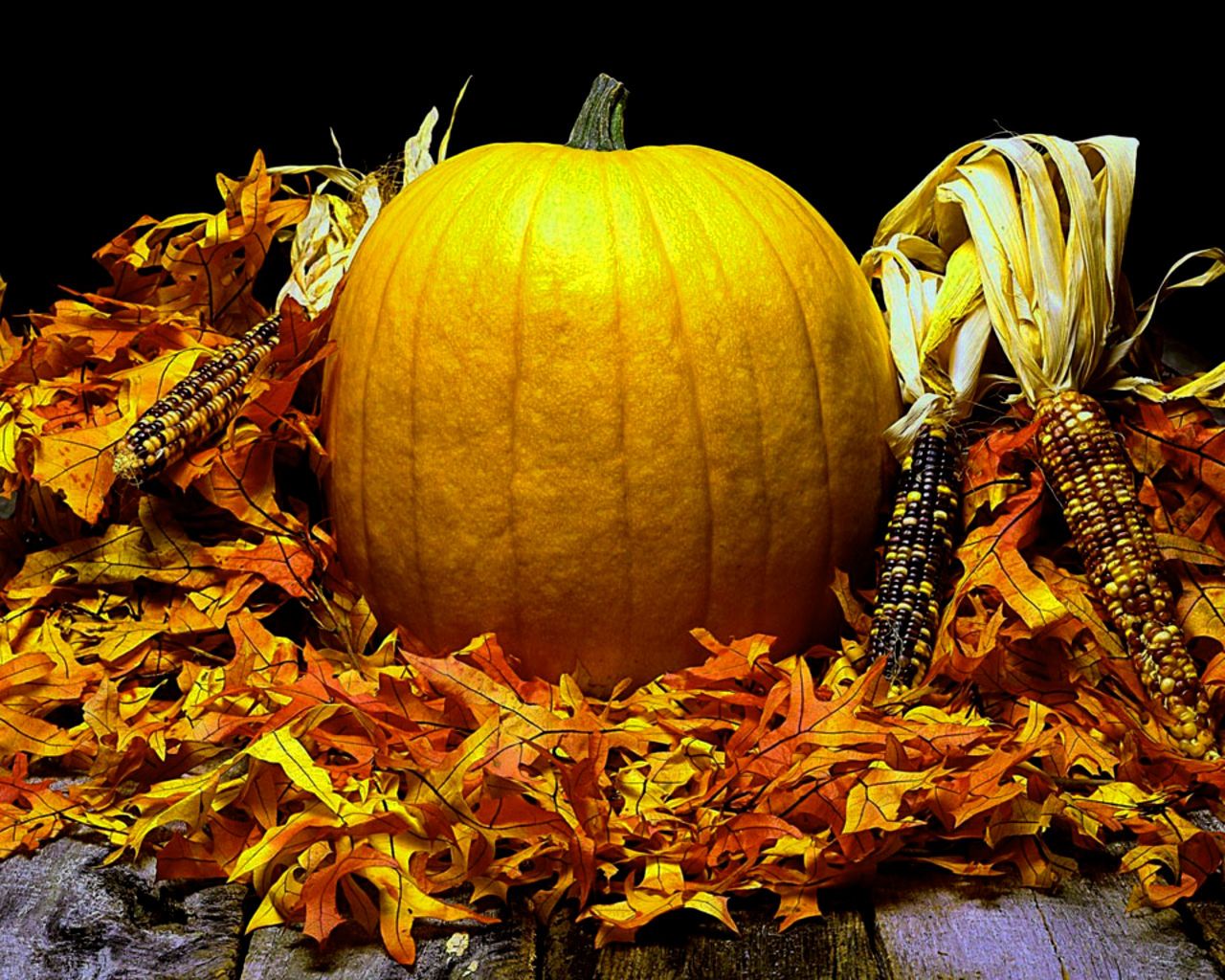 Zucca con foglie autunnali e pannocchie, 1280x1024 720p, PC