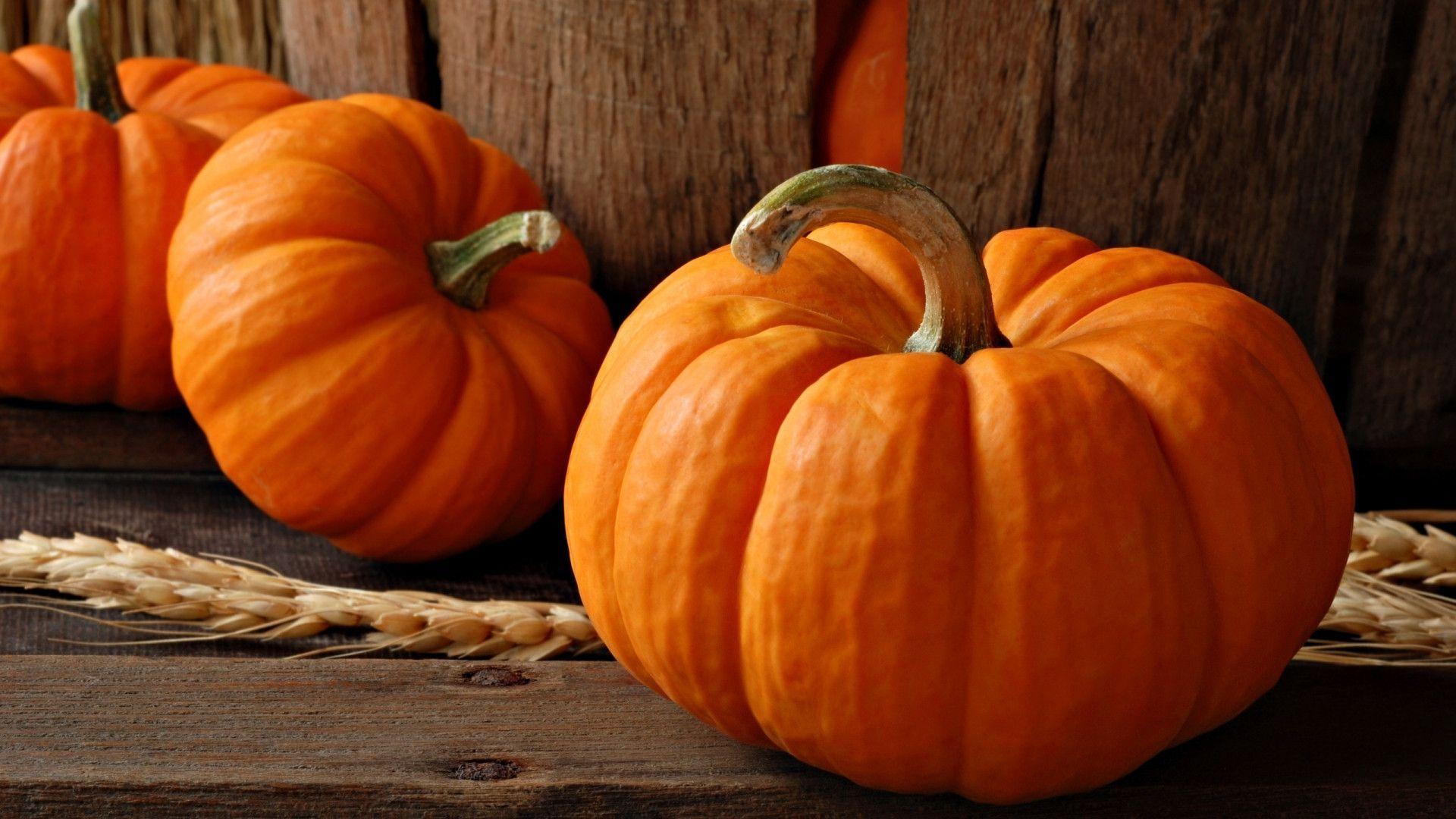 Zucche arancioni su legno, 1920x1080 Full HD, Laptop