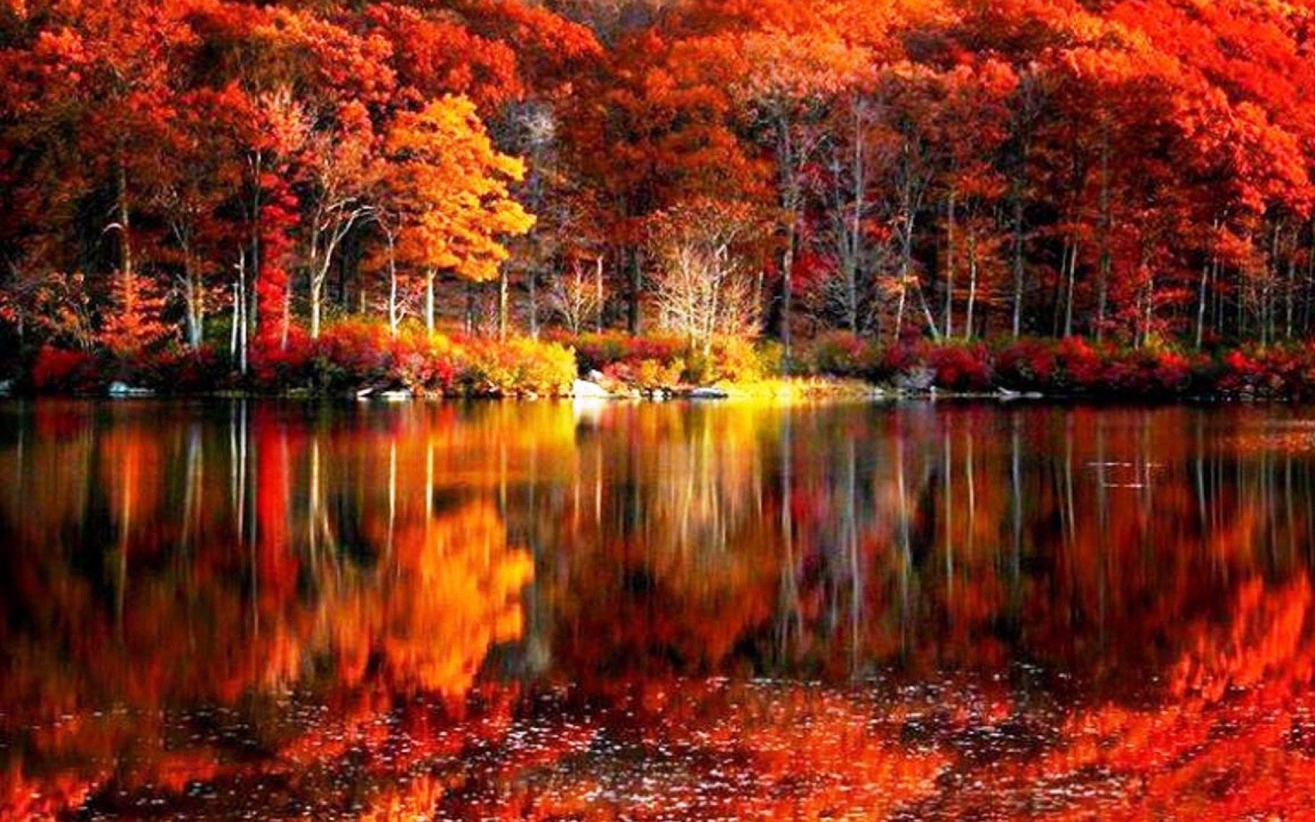Lago autunnale con alberi rossi, 1920x1200 WUXGA, Laptop