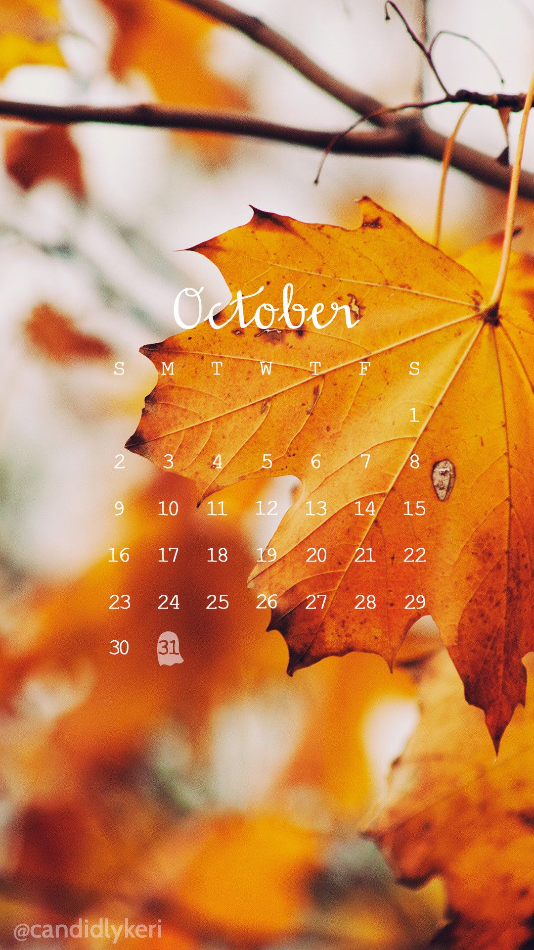 Foglie autunnali arancioni, calendario ottobre, 1080x1920 Full HD Verticale, iPhone