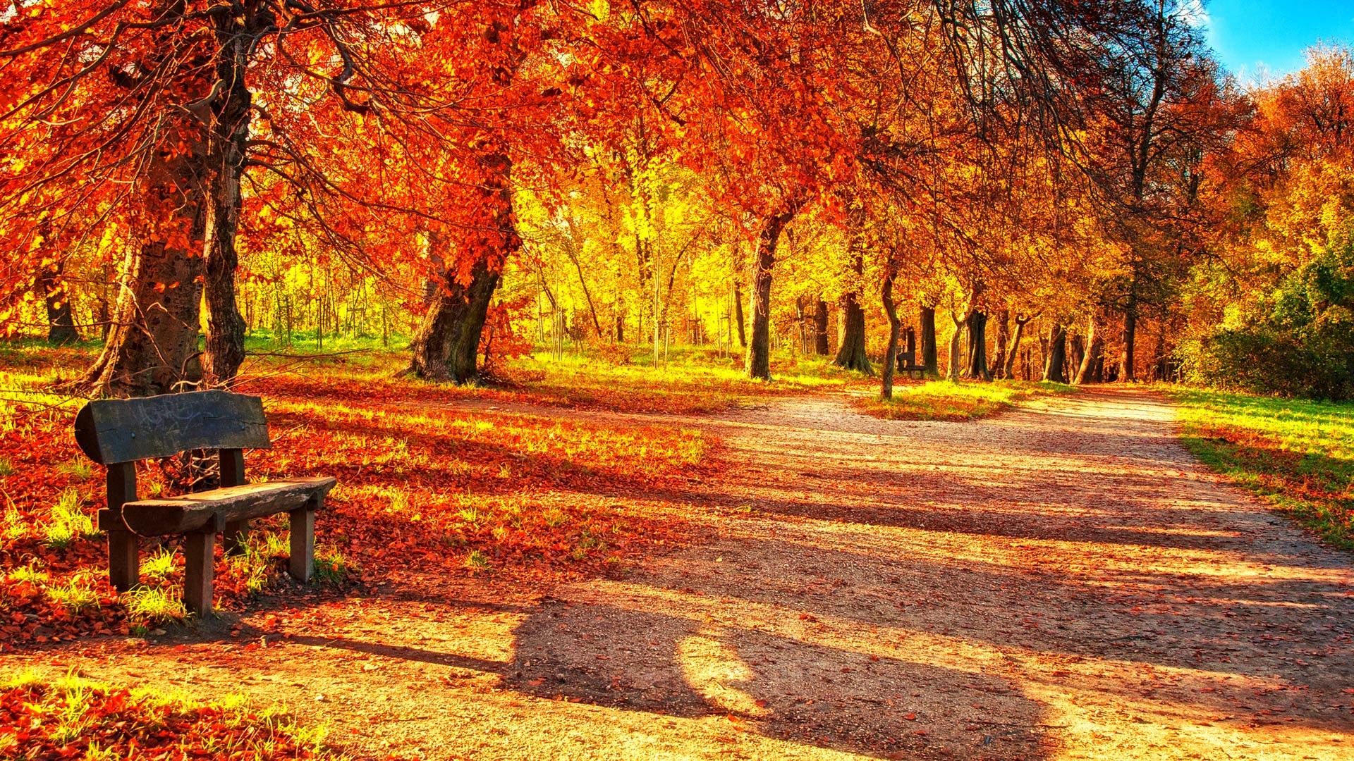 Parco autunnale con panchina, 1920x1080 1080p, PC